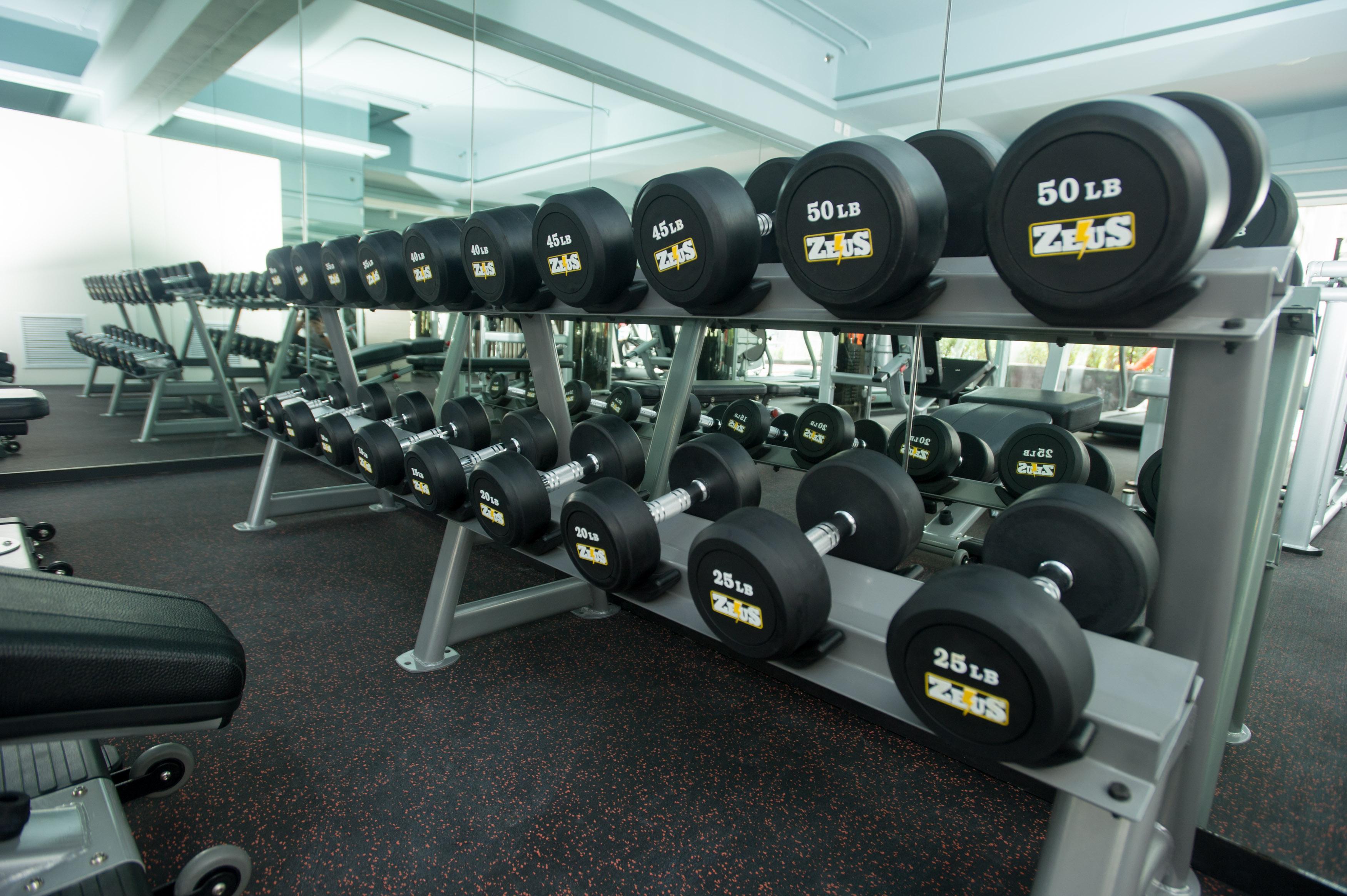 Novotel Bangkok Sukhumvit 20 Luaran gambar Dumbbells on a rack